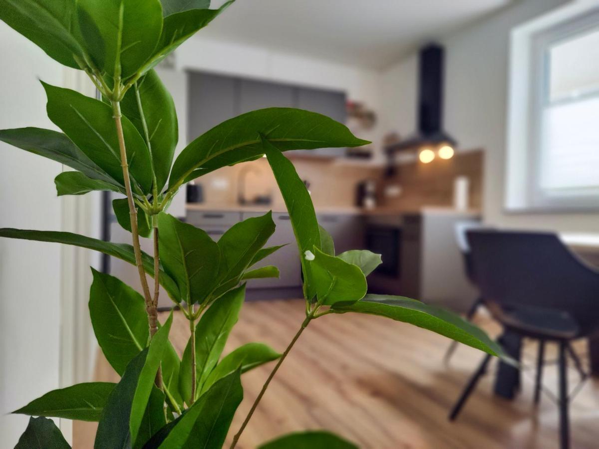 Hygge Home - Mit Garten Und Stellplatz Fuer Feriengaeste-, Monteure / Netflix / 10 Min. Zur Sinsheim Therme Und Zur Autobahn Εξωτερικό φωτογραφία